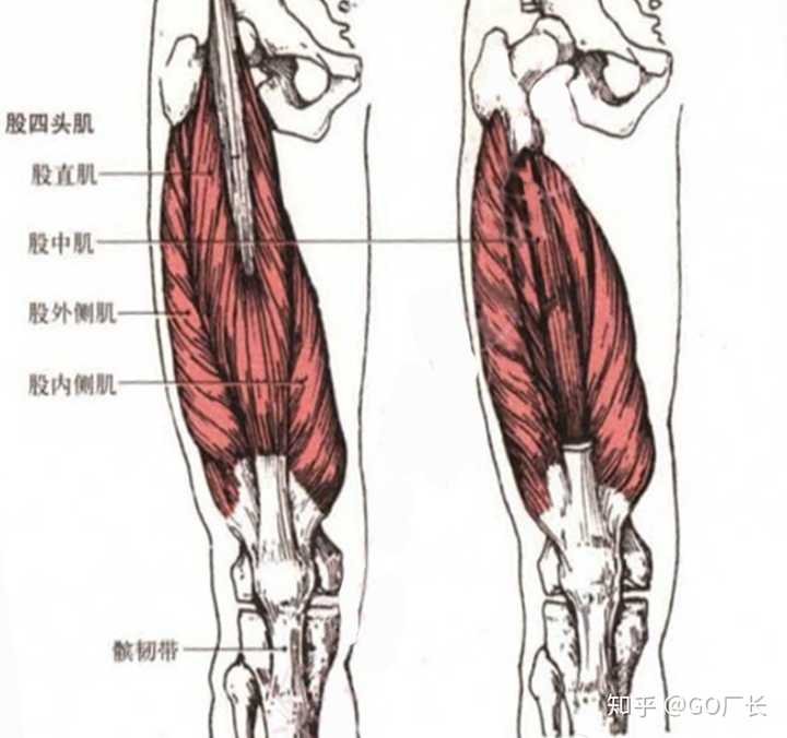 器械练腿健身的好处_健身器械练腿_器械练腿健身操视频