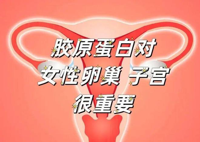 亚健康能死人么_人死了还有健康码吗_死人能影响活人吗