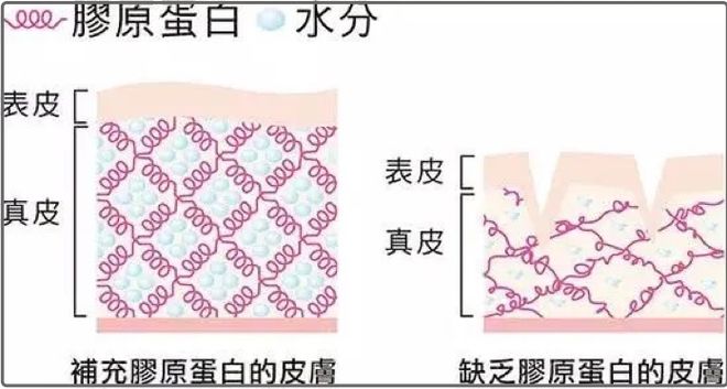 人死了还有健康码吗_亚健康能死人么_死人能影响活人吗