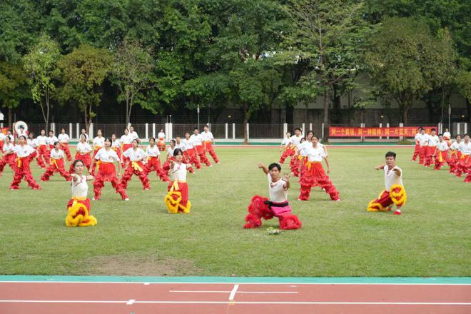 小学生体操表演_体操小学生_体操运动视频锻炼小学生