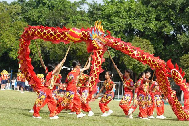 体操运动视频锻炼小学生_体操小学生_小学生体操表演