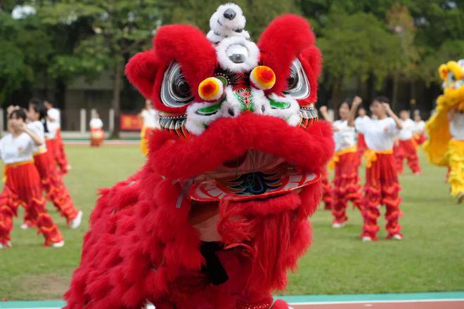 体操运动视频锻炼小学生_小学生体操表演_体操小学生