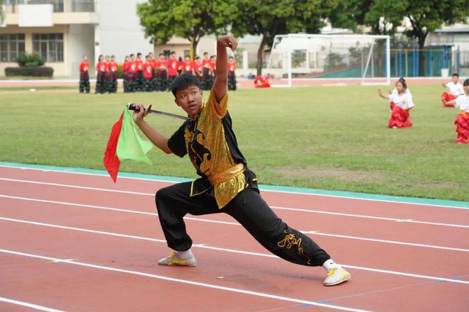 体操运动视频锻炼小学生_体操小学生_小学生体操表演