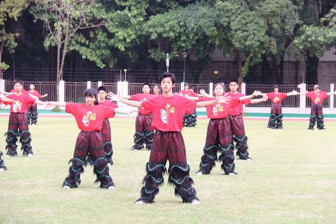 体操运动视频锻炼小学生_小学生体操表演_体操小学生