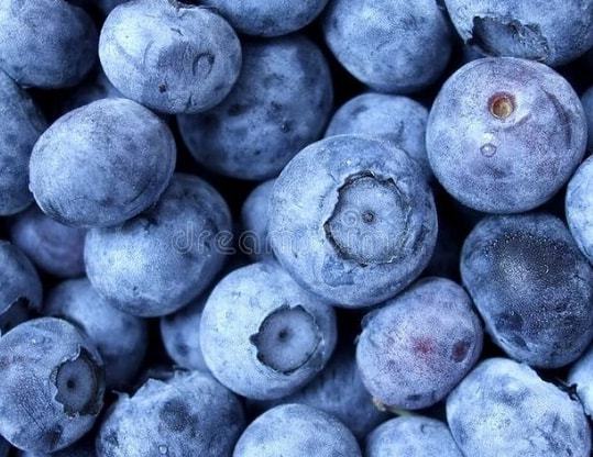篮莓营养_蓝莓营养素_营养餐蓝莓